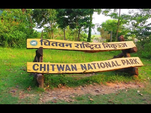 तस्करीमा संलग्न २४ जना पक्राउ