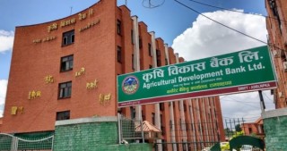 कृषि विकास बैंकले माग्यो विभिन्न पदका लागि कर्मचारी, प्लसटु गरेकाले पनि आवेदन दिन सक्ने