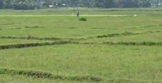 घरजग्गा कारोबारः कुन महिनामा कति उठ्यो राजस्व