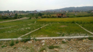 खेतीयोग्य जग्गा टुक्रैटुक्रा, तराईमा मात्र १ करोड ४१ लाख कित्ता