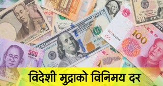 निरन्तर बढ्दैछ डलरको मूल्य, कस्तो छ अन्य देशको विनिमयदर ?