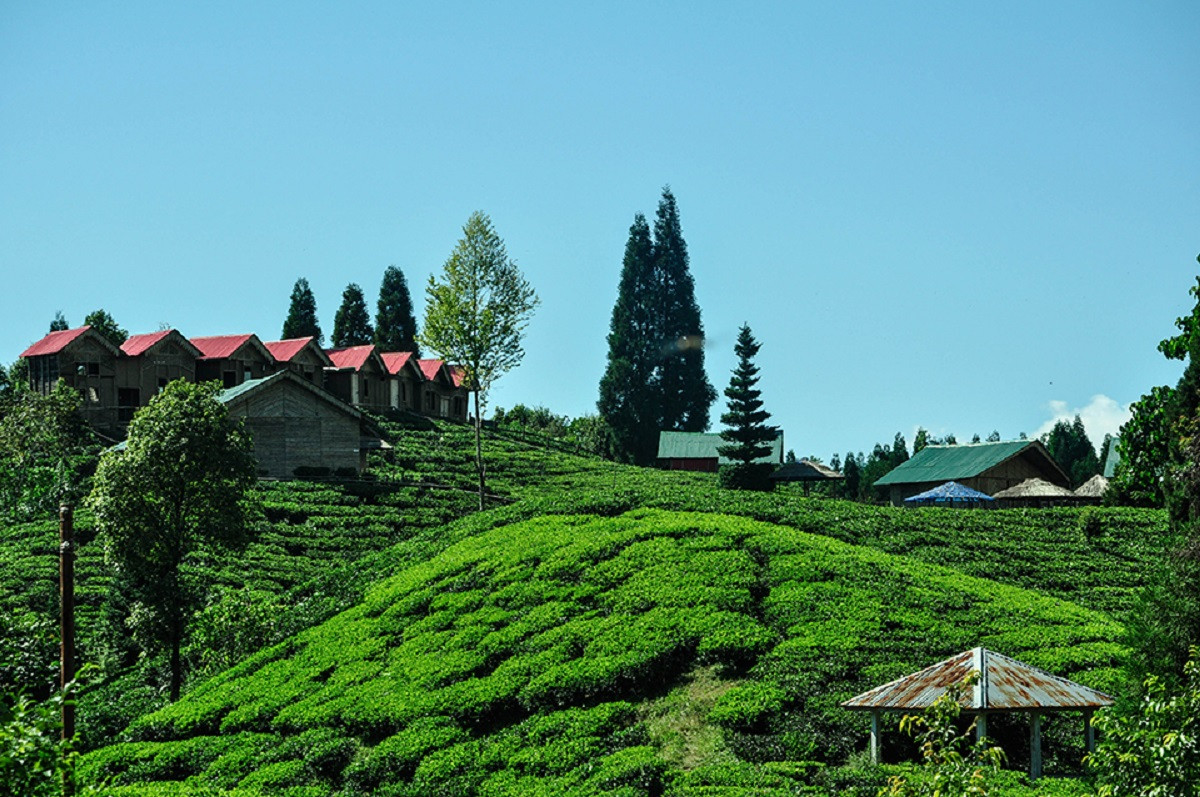 antu-cottage-ilam-nepal.jpg
