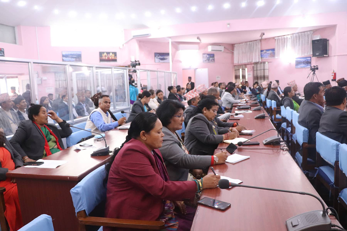 gandaki province policy and programme (6).jpg
