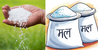 कालोसूचीमा परेका कम्पनीले ल्याए मल