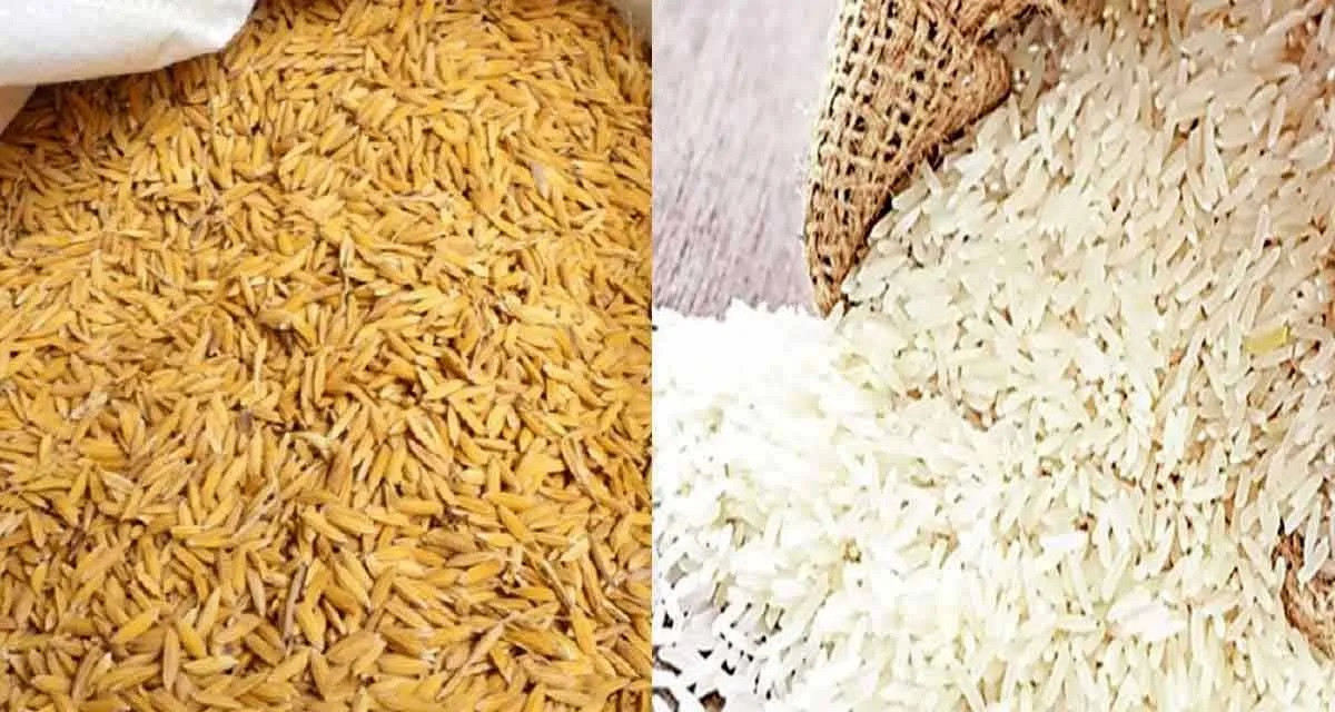 भारतले लगाएको ‘कोटा सिस्टम’ का कारण नेपालमा घट्यो धानचामलको आयात