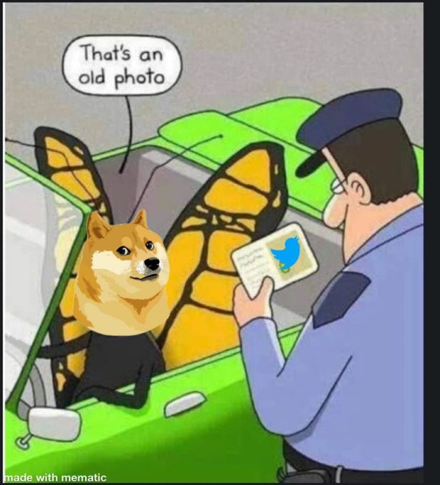 pp.jpg