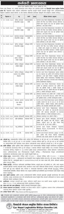Nepal-Laghubitta-Bittiya-Sanstha-job-vacancy-scaled.jpg