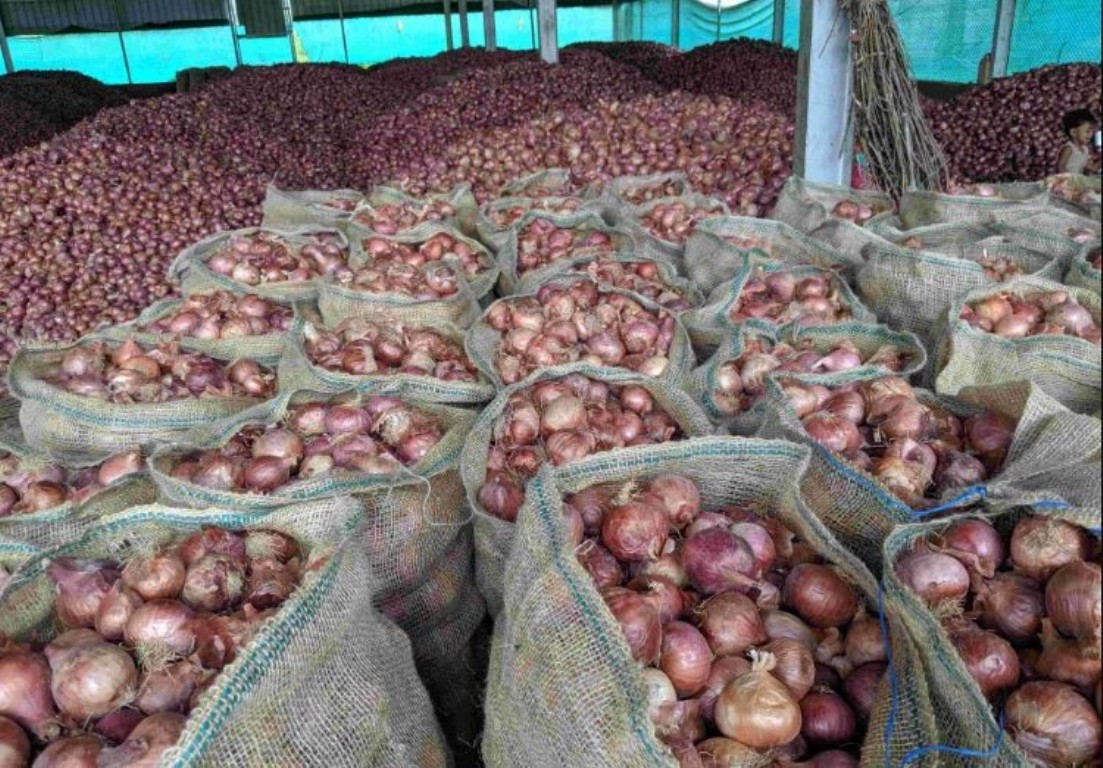 चीनबाट आउन थालेपछि निरन्तर घट्दै प्याजको मूल्य, सातामै २५ रुपैयाँले घट्यो