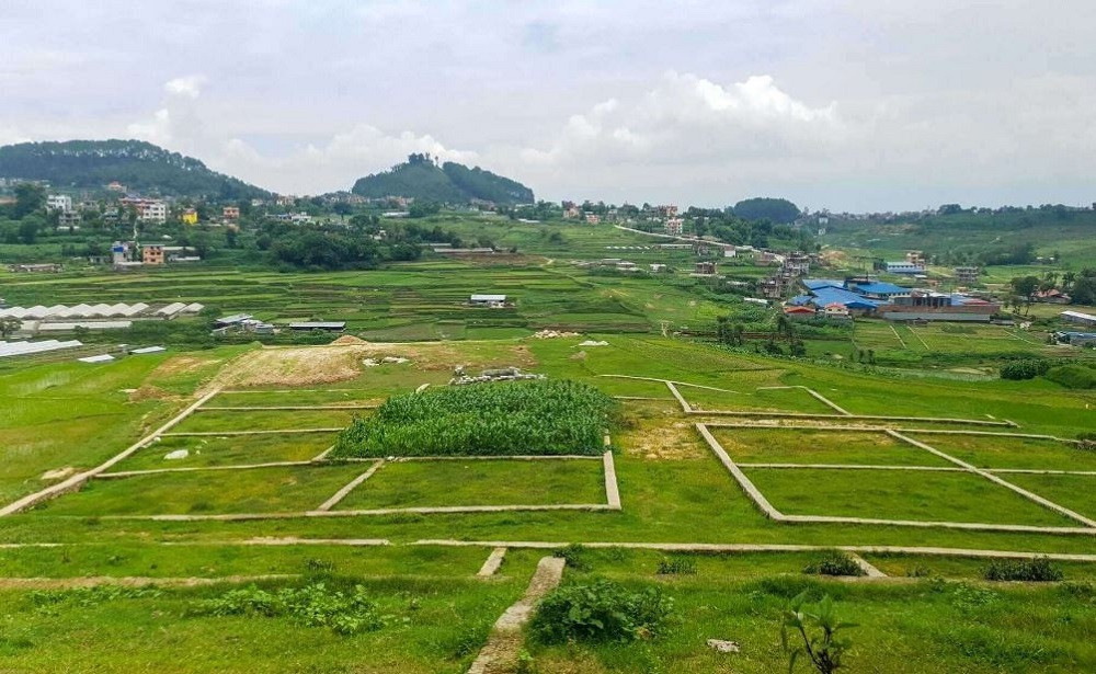 एक चौथाइले घट्यो घरजग्गा कारोबार, राजस्व संकलनमा पनि गिरावट