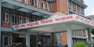 तीन महिनाभित्र वधशाला ऐन लागू गर्न निर्देशन