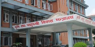 तीन महिनाभित्र वधशाला ऐन लागू गर्न निर्देशन