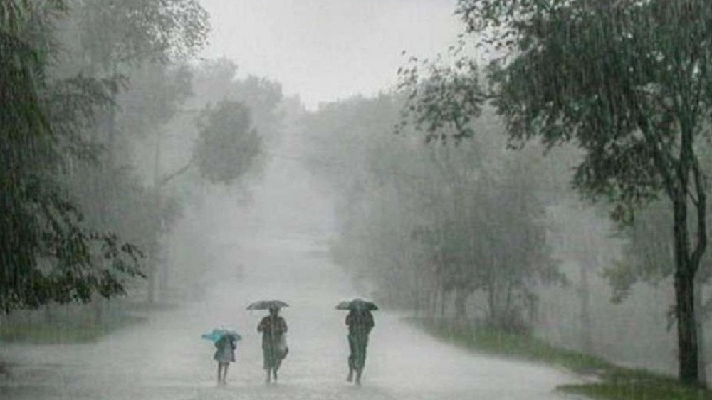 २४ घण्टामा झापाका अनारमनी, चन्द्रगढी र केचनामा १२९ मिलीमिटरसम्म वर्षा