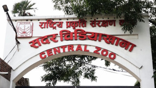 जावलाखेल चिडियाखानामा ११२ प्रजातिका एक हजार २७३ जीवजन्तु