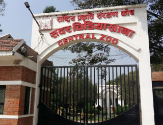 बर्डफ्लु नियन्त्रणपछि जावलाखेल सदर चिडियाखाना आजदेखि पुनः खुला